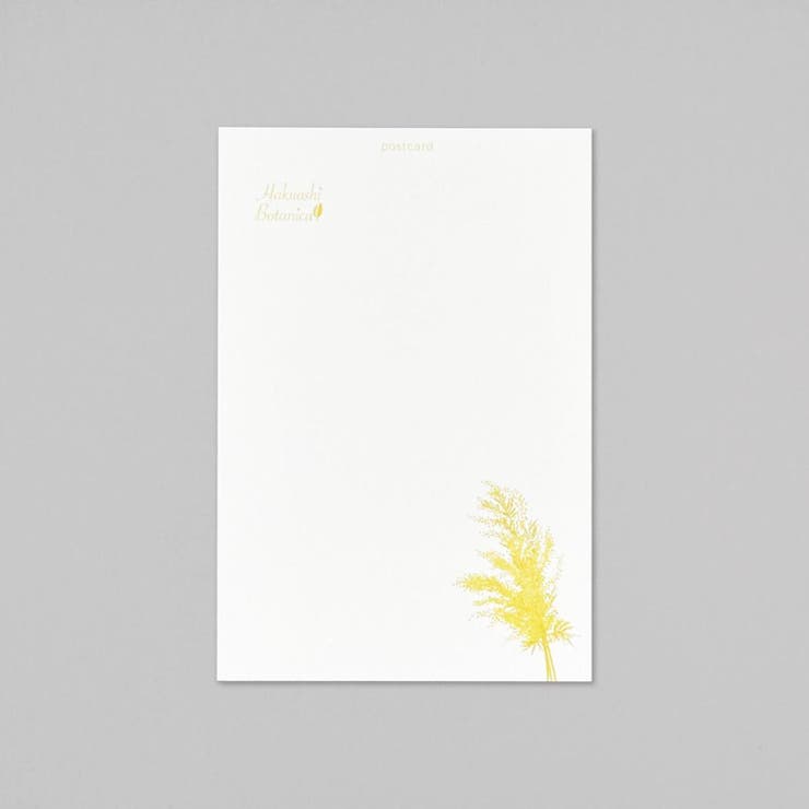 Hakuoshi Botanical POSTCARD | cinemacollection | 詳細画像4 