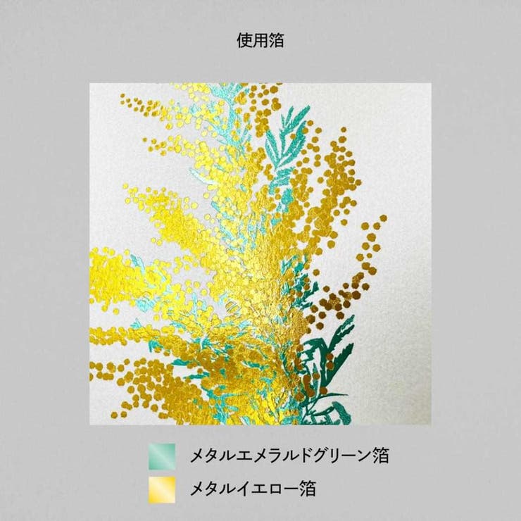 Hakuoshi Botanical POSTCARD | cinemacollection | 詳細画像5 