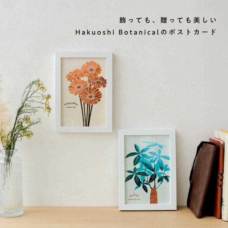 Hakuoshi Botanical POSTCARD | cinemacollection | 詳細画像6 