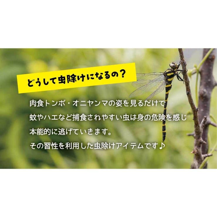 虫除けグッズ しましま虫除けキーホルダー シンプル | cinemacollection | 詳細画像5 