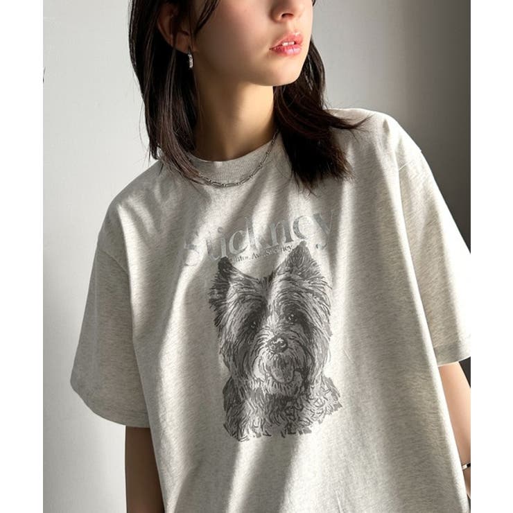 上品カジュアルを楽しむ。シルケット風アニマルTシャツ（半袖
