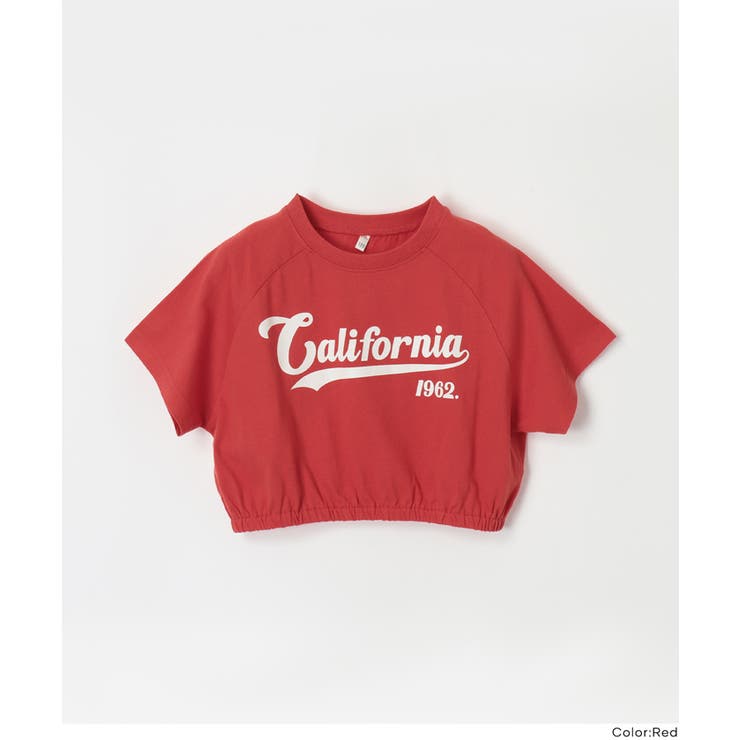クロップドラグランTシャツ | coca | 詳細画像14 