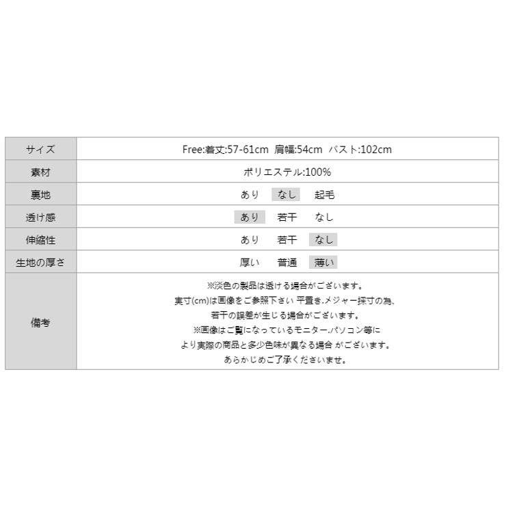 シアーブラウス シアージャガードシャツ 刺繍レース | COCOMOMO | 詳細画像20 