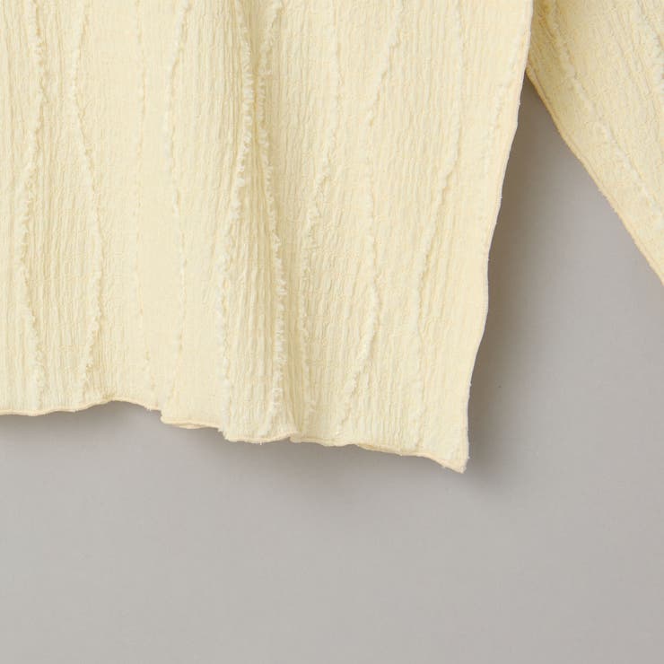 【再入荷・新色登場】ウェーブデザイン カットジャガード クルーネックTシャツ | coen【women】 | 詳細画像38 