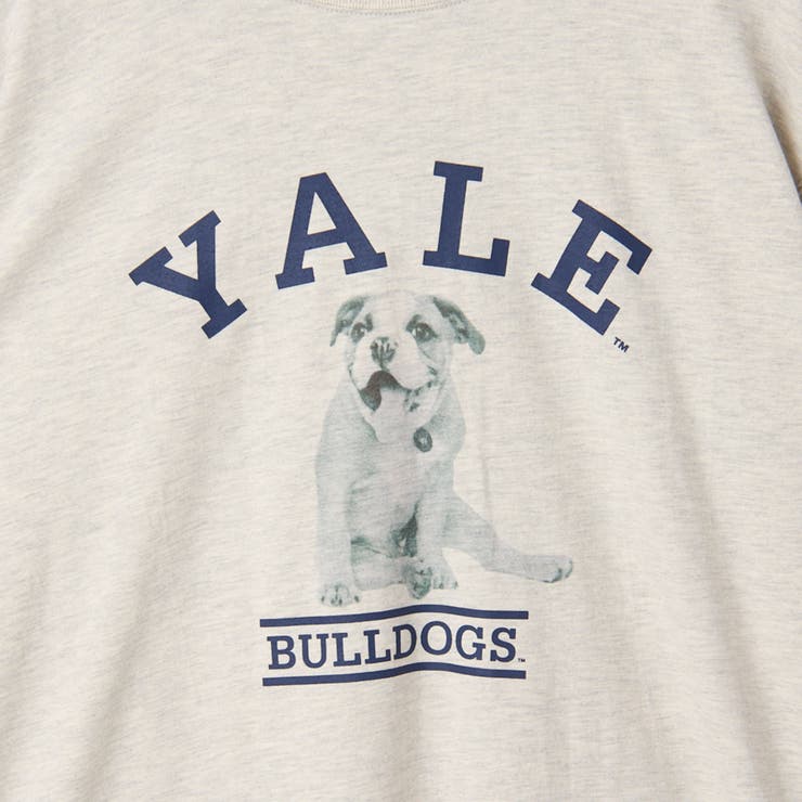 YALE別注 アソートプリント 半端袖 ビッグTシャツ  | coen【women】 | 詳細画像29 