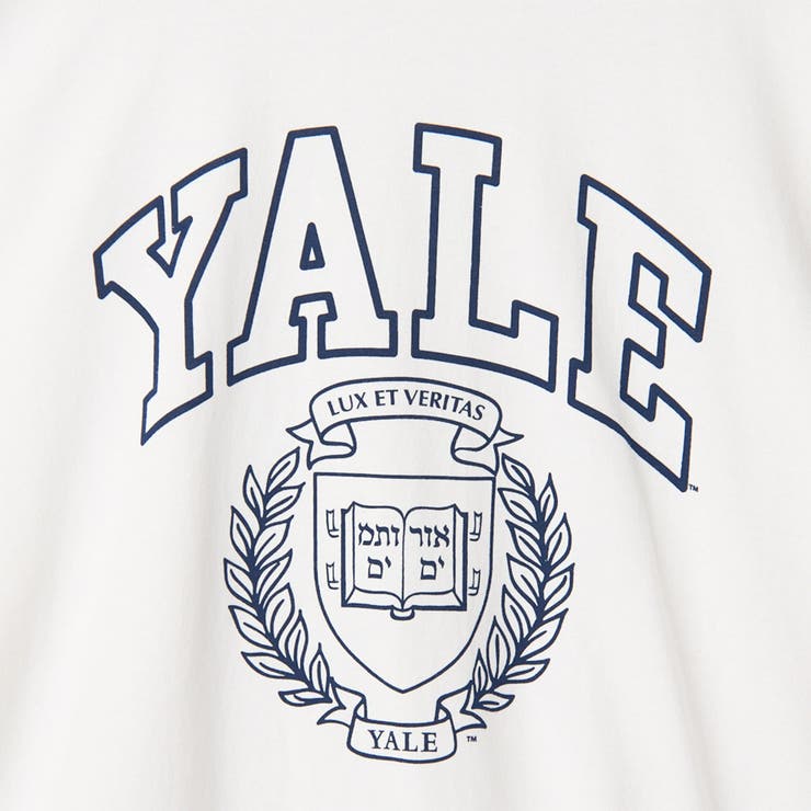 YALE別注 アソートプリント 半端袖 ビッグTシャツ  | coen【women】 | 詳細画像32 