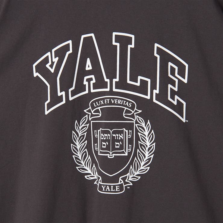 YALE別注 アソートプリント 半端袖 ビッグTシャツ  | coen【women】 | 詳細画像34 