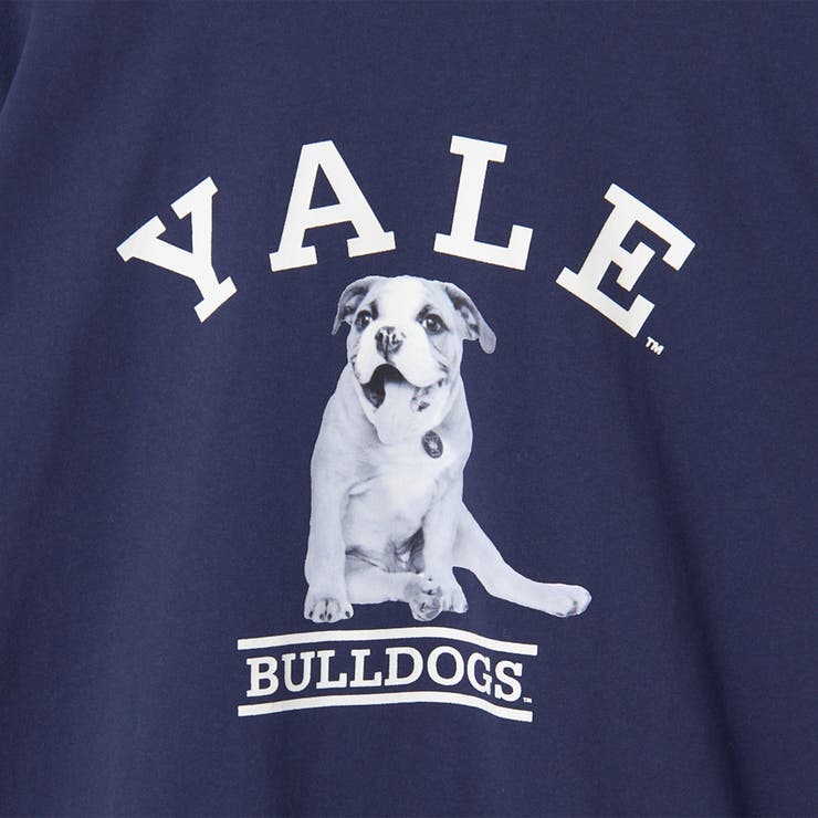 YALE別注 アソートプリント 半端袖 ビッグTシャツ  | coen【women】 | 詳細画像36 
