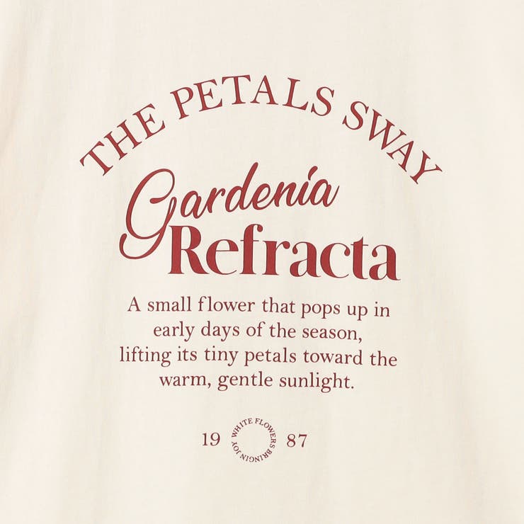 ガーリーシックロゴプリントTシャツ | coen【women】 | 詳細画像23 