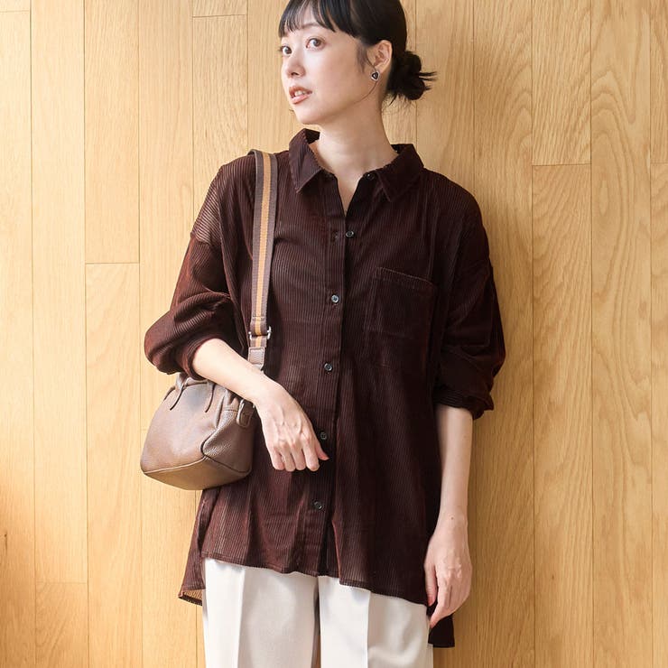 DK.BROWN | シアーメッシュ フロッキーストライプレギュラーカラーシャツ | coen【women】