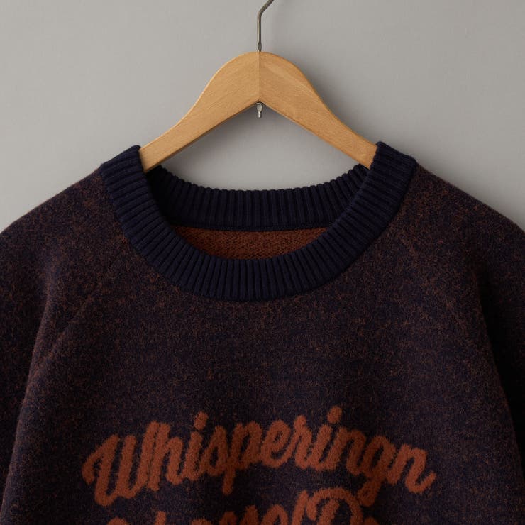 【もちフワ触感×1枚で映えるロゴデザイン】フェザーヤーンロゴジャガードニット | coen【women】 | 詳細画像13 