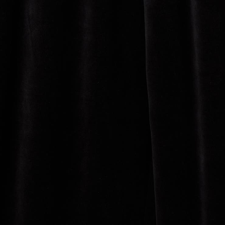 フェレットライクベロアイージーワイドパンツ | coen【women】 | 詳細画像25 