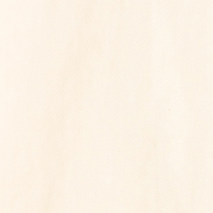 【WEB限定】Dickies（ディッキーズ）別注サイドジップジャンパースカート | coen【women】 | 詳細画像37 