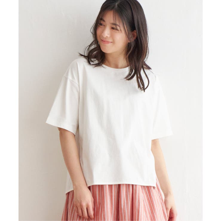 オフホワイト | コットンUSA半袖Tシャツ | ikka 