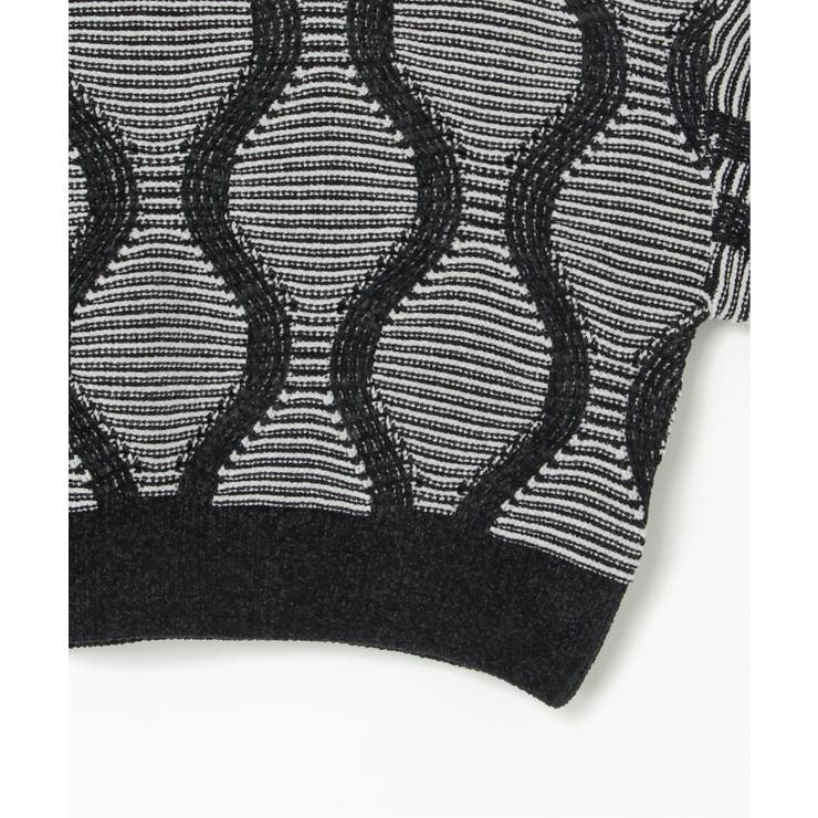 5Gヒョウタン柄ジャガードプルオーバー | VENCE share style【WOMEN】 | 詳細画像18 