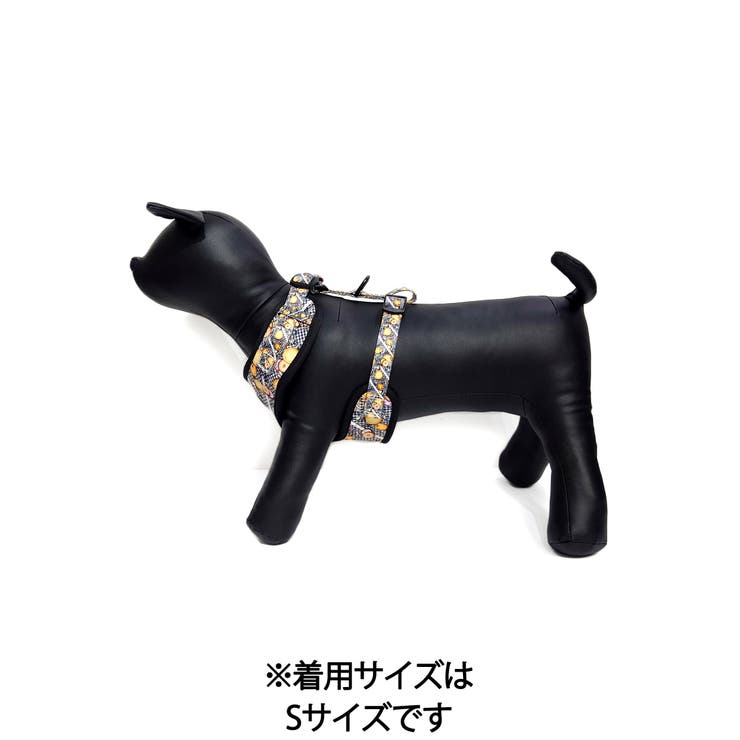 DOG harness+Belt/Ring-Gong Biscuit/Mサイズ | CRYSTAL BALL | 詳細画像3 