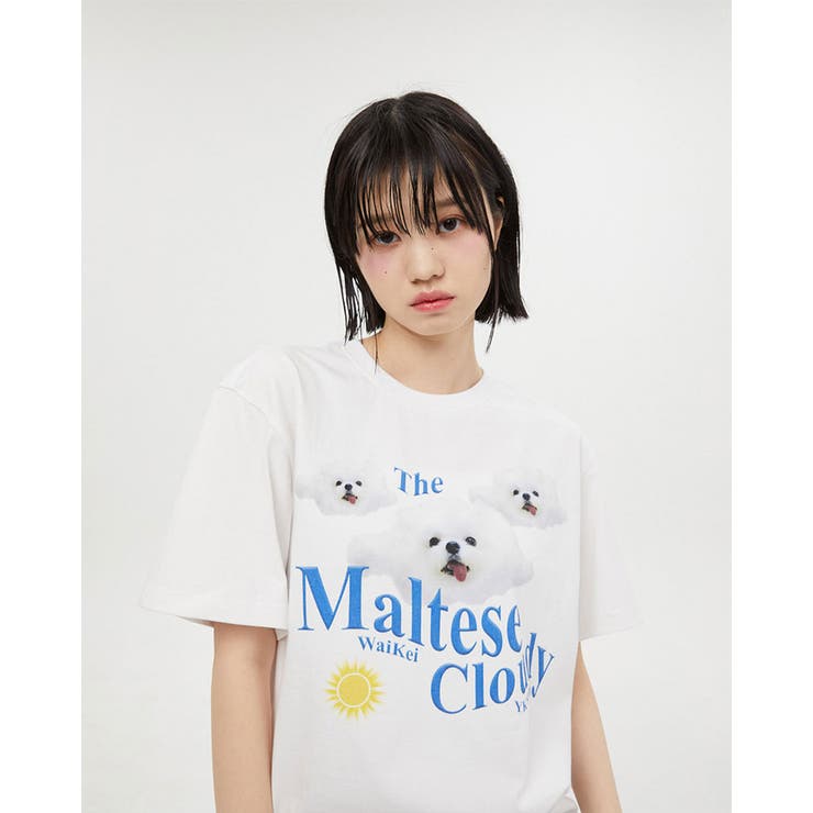 WaiKei ワイケイ マルティーズ[品番：PBIW0002582]｜DAESE TOKYO