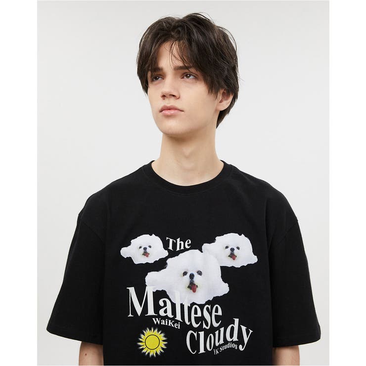 WaiKei ワイケイ マルティーズクラウド[品番：PBIW0002141