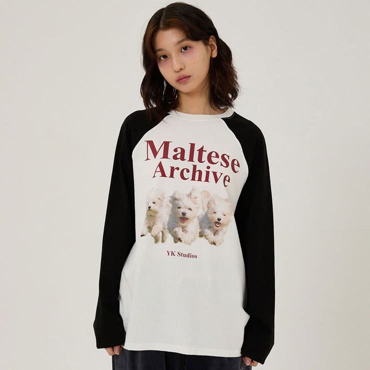 WaiKei ワイケイ マルティーズ[品番：PBIW0002582]｜DAESE TOKYO
