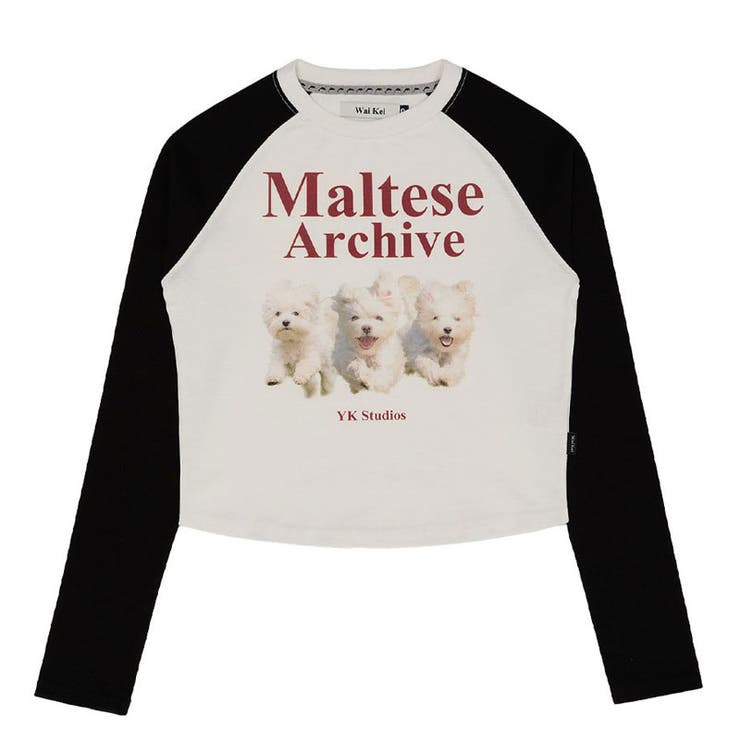 WaiKei ワイケイ マルティーズ[品番：PBIW0002582]｜DAESE TOKYO