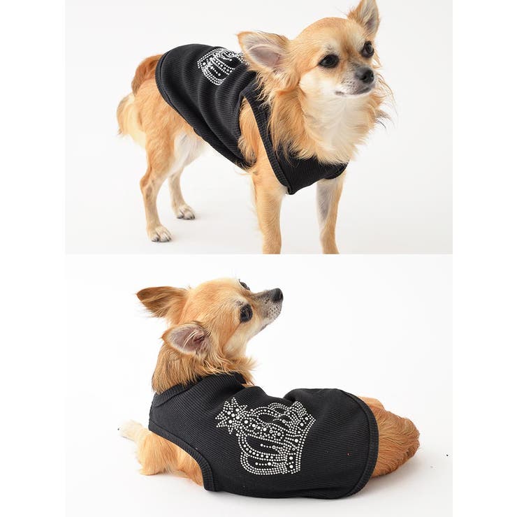 犬服 クラウンデザインタンクトップドッグウェア○[犬 服[品番