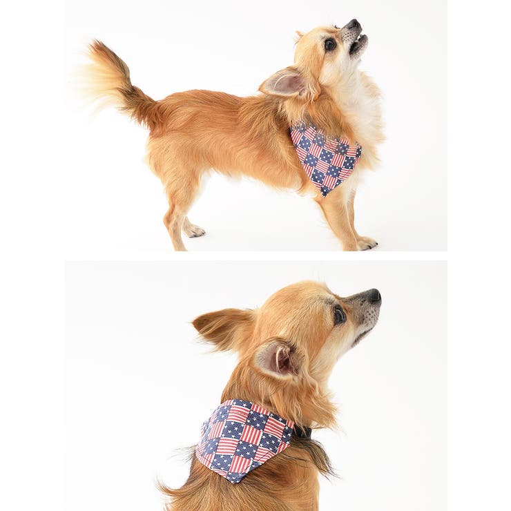 犬服 アメリカン テイストバンダナ付首輪 品番 Dy Dazzy デイジー のレディースファッション通販 Shoplist ショップリスト