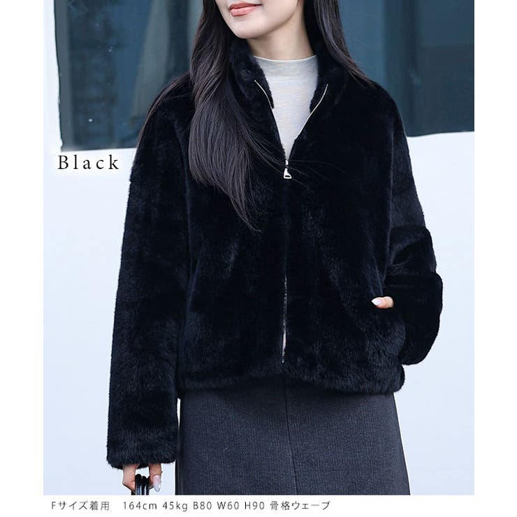 スタンドカラー ジップアップ コンパクト | レースレディース  | 詳細画像3 