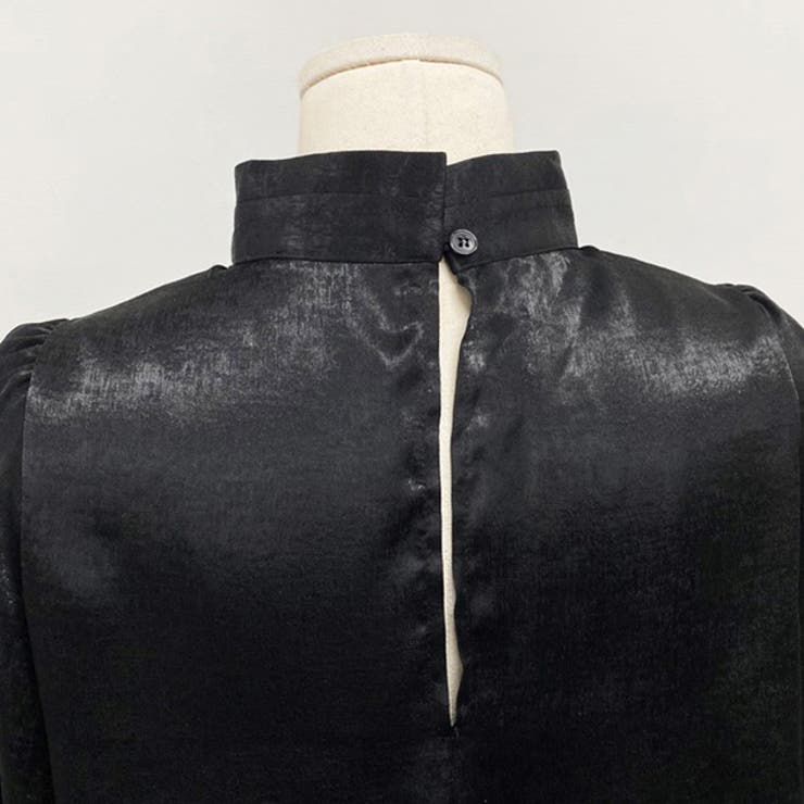 ハイネック シアーブラウス ボリューム袖 | レースレディース  | 詳細画像17 