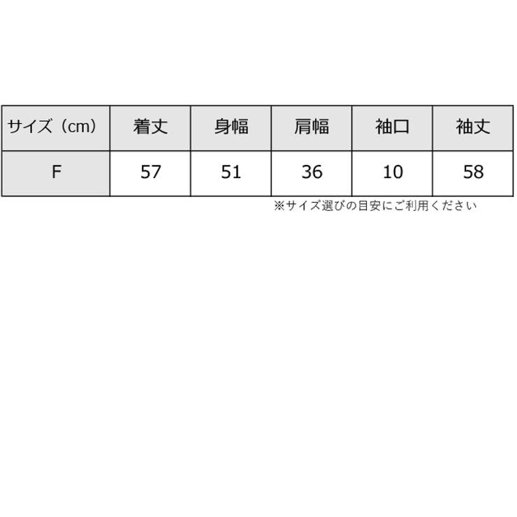 ボウタイ ボリューム袖 長袖 | レースレディース  | 詳細画像19 