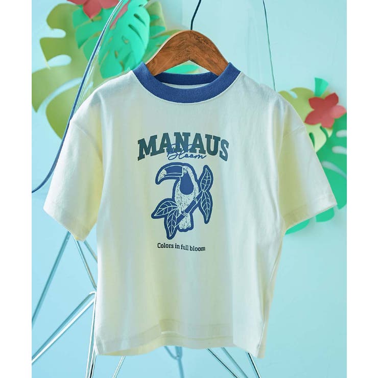 012-オオハシ-オフホワイト | 綿100% デビラボ×アニマルカレッジ BIGシルエットプリント半袖Tシャツ | devirock