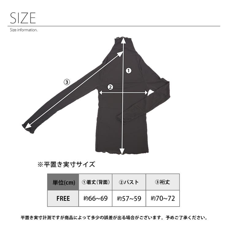 シースルートップス シアー タートルネック | インナーショップDiamondHearts  | 詳細画像5 