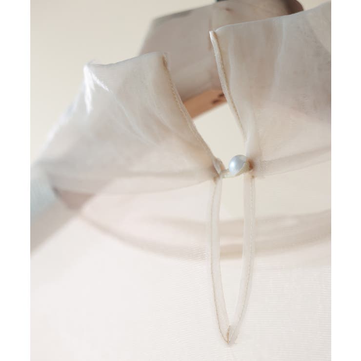 プチハイネックショート丈チュールトップス | SAISON DE PAPILLON  | 詳細画像49 