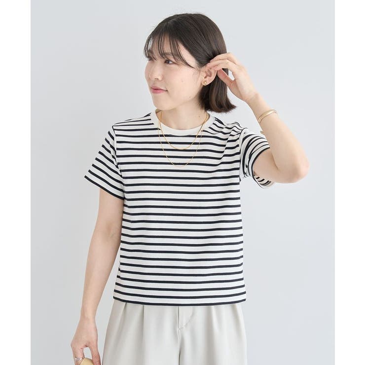 ボーダー | フライスコンパクトTシャツ | Green Parks 