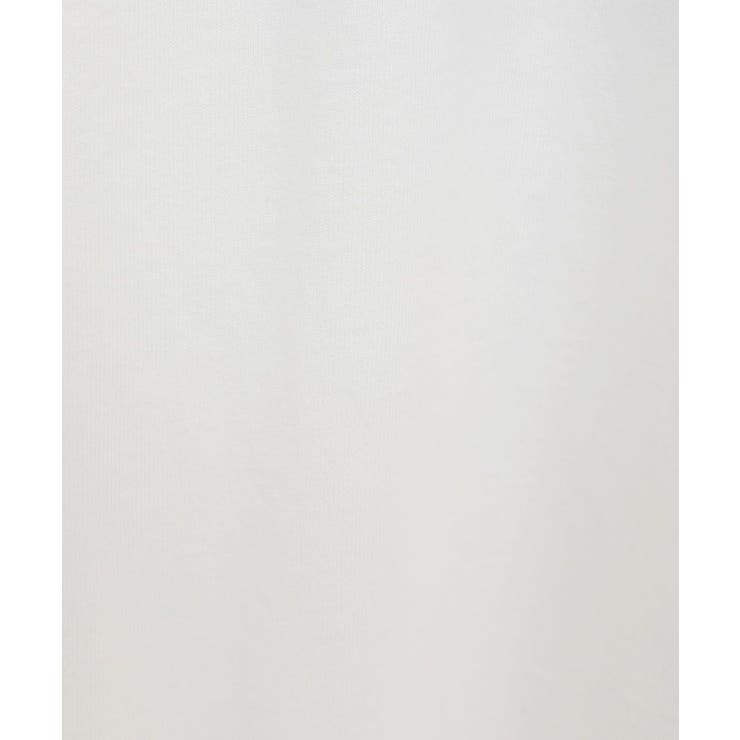 COLDSTONE/BigTシャツ | Green Parks  | 詳細画像13 