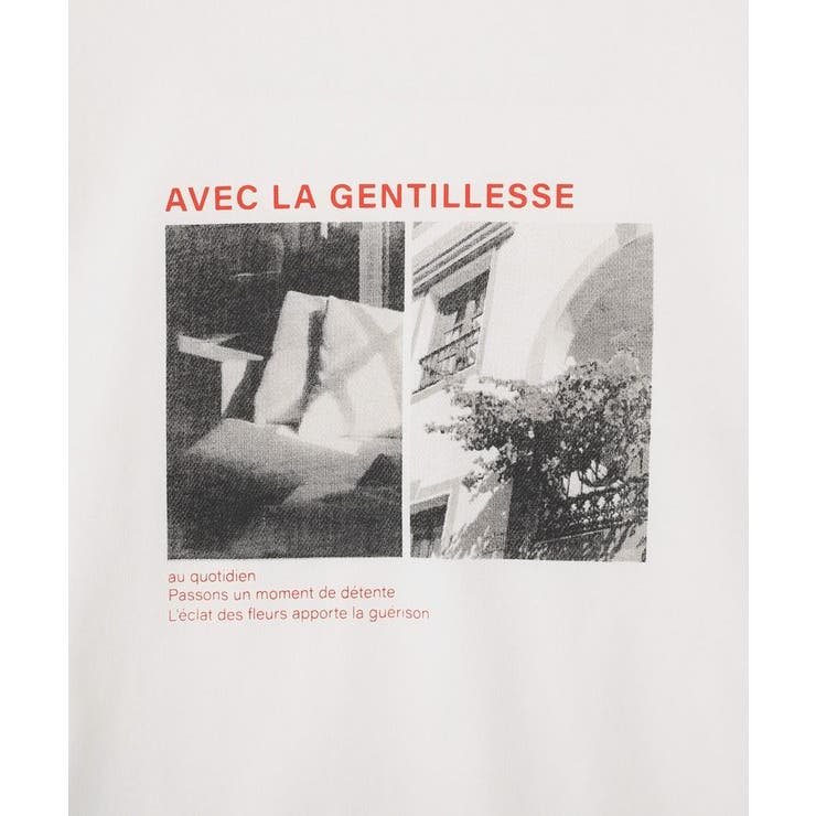 アソート柄フォトTシャツ | Green Parks  | 詳細画像23 