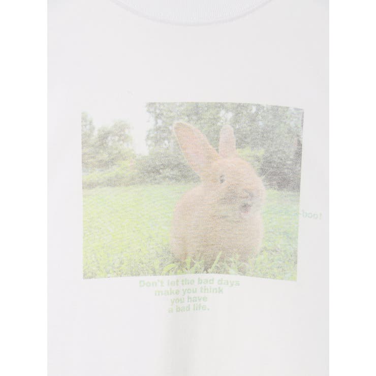 ■アニマルフォトTシャツ | earth music&ecology  | 詳細画像33 