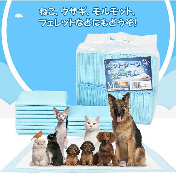 ペットシーツ 薄型 トイレシート | Emmmo | 詳細画像11 