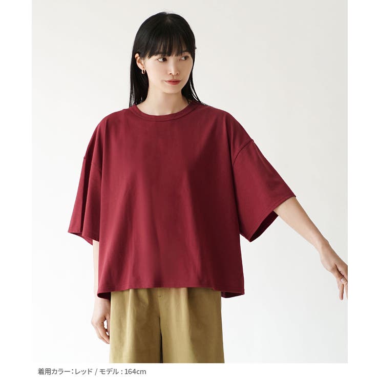 zootie（ズーティー）：ゆったりワイド ショート丈Tシャツ | e-zakkamania stores | 詳細画像15 