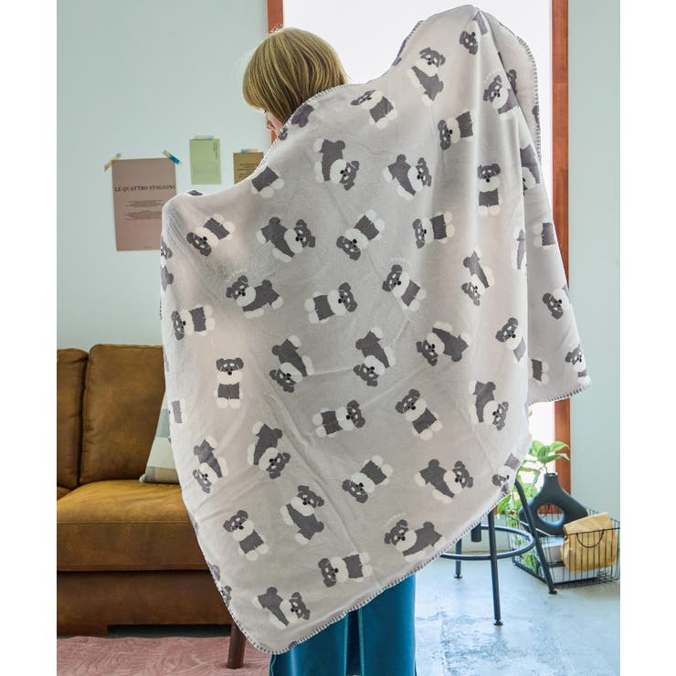 シュナウザー・グレー | Fashion Letter ファッションレター | Fashion Letter