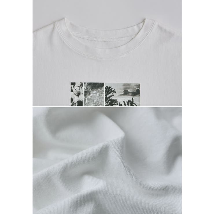 etoll エトル フォトプリントクルーネックTシャツ | Fashion Letter | 詳細画像20 