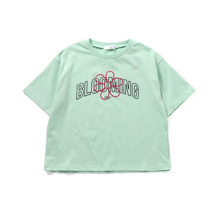 アソートカラバリT2 | F.O.Online Store | 詳細画像6 