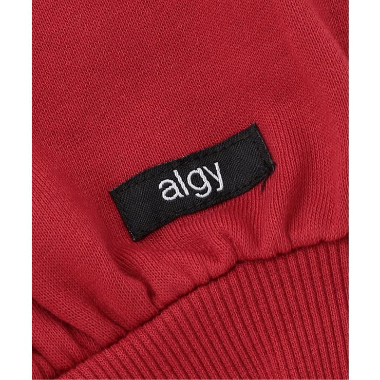 レースロゴBIGフーディ | F.O.Online Store | 詳細画像14 