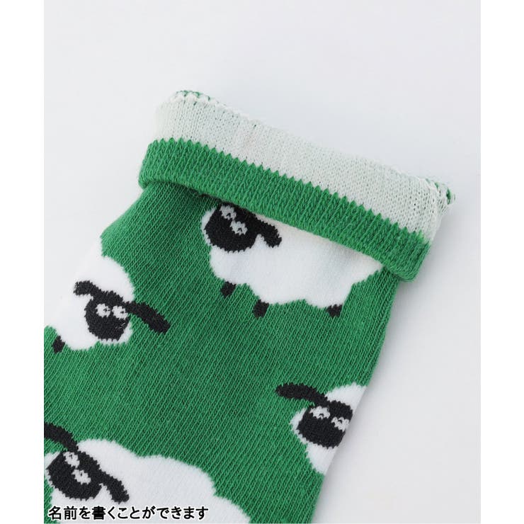 BOYSいろいろソックス | F.O.Online Store | 詳細画像3 
