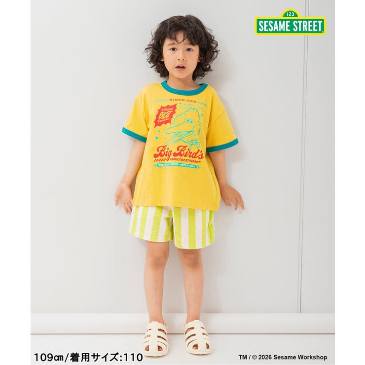 WEB限定 セサミストリートTシャツ | F.O.Online Store | 詳細画像17 