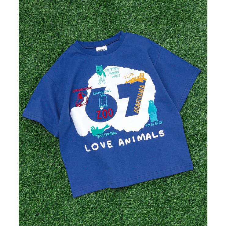 ブルー | 【リンク】旭山動物園応援商品 バリエーションTシャツ | F.O.Online Store