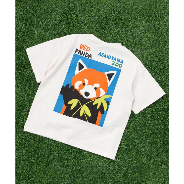 アイボリー | 【リンク】旭山動物園応援商品 バリエーションTシャツ | F.O.Online Store