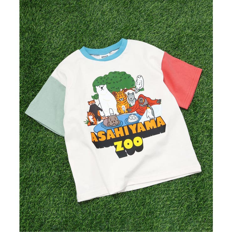 レインボー | 【リンク】旭山動物園応援商品 バリエーションTシャツ | F.O.Online Store
