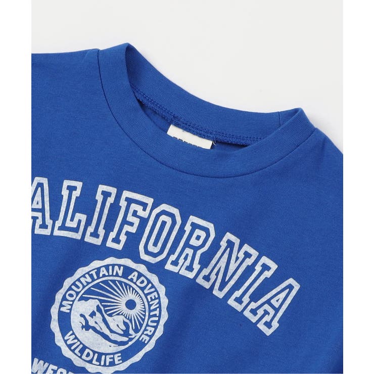WEB限定  チュニックカレッジTシャツ | F.O.Online Store | 詳細画像4 