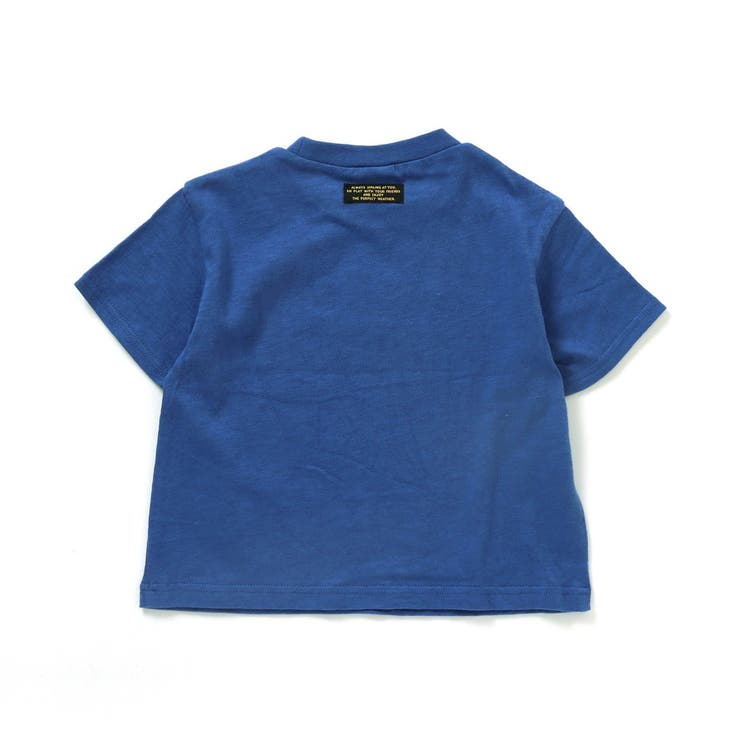 safari Tシャツ | F.O.Online Store | 詳細画像3 