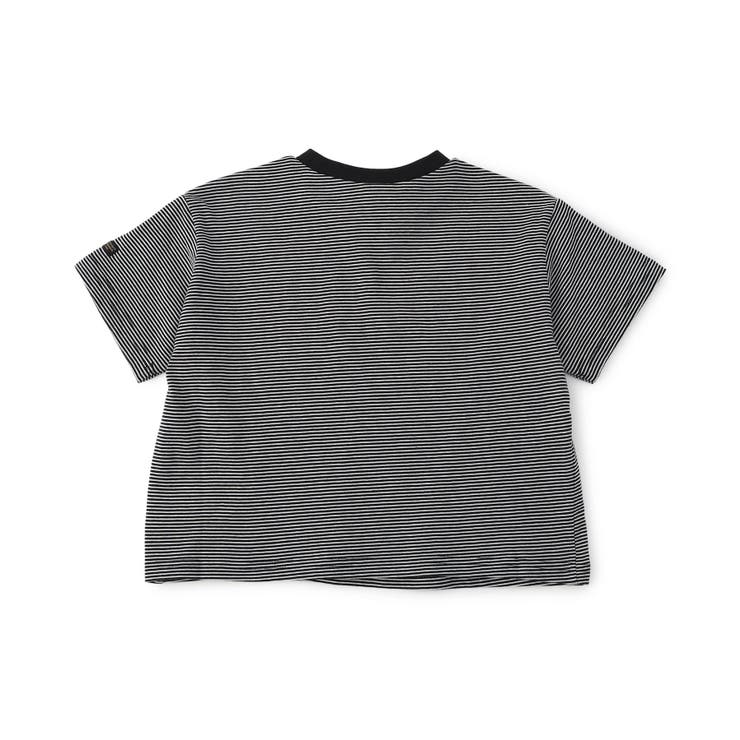 【WEB限定】ボーダー&無地ベーシック半袖Tシャツ | F.O.Online Store | 詳細画像11 